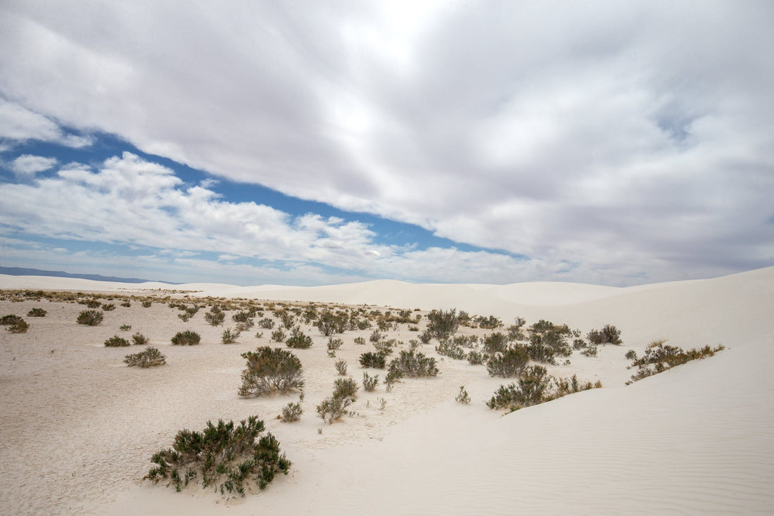 What is White Sands?