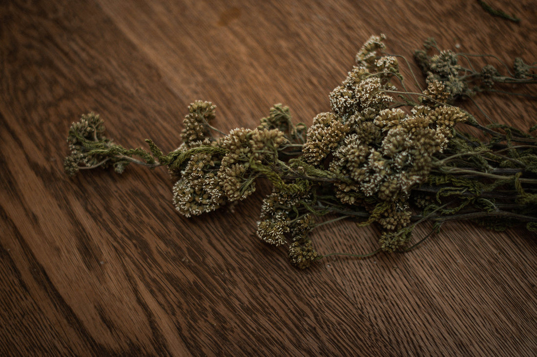 DIY Yarrow Bug Repellent