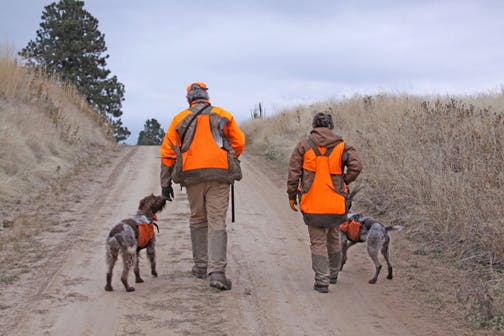 History of the Shotgun for Upland Hunting