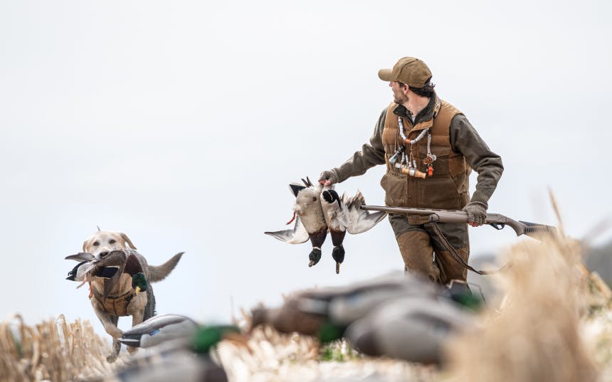 Who is Ducks Unlimited?