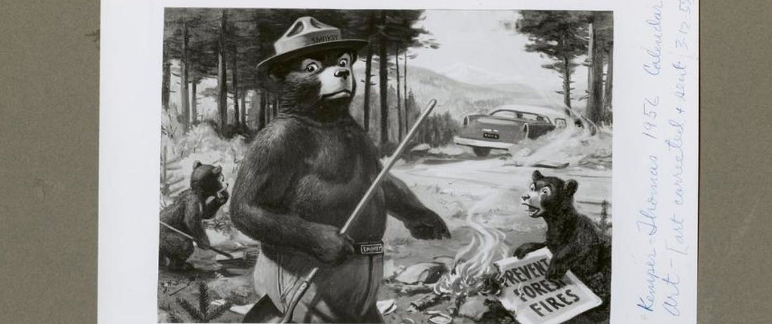 Smokey Bear: An American Icon