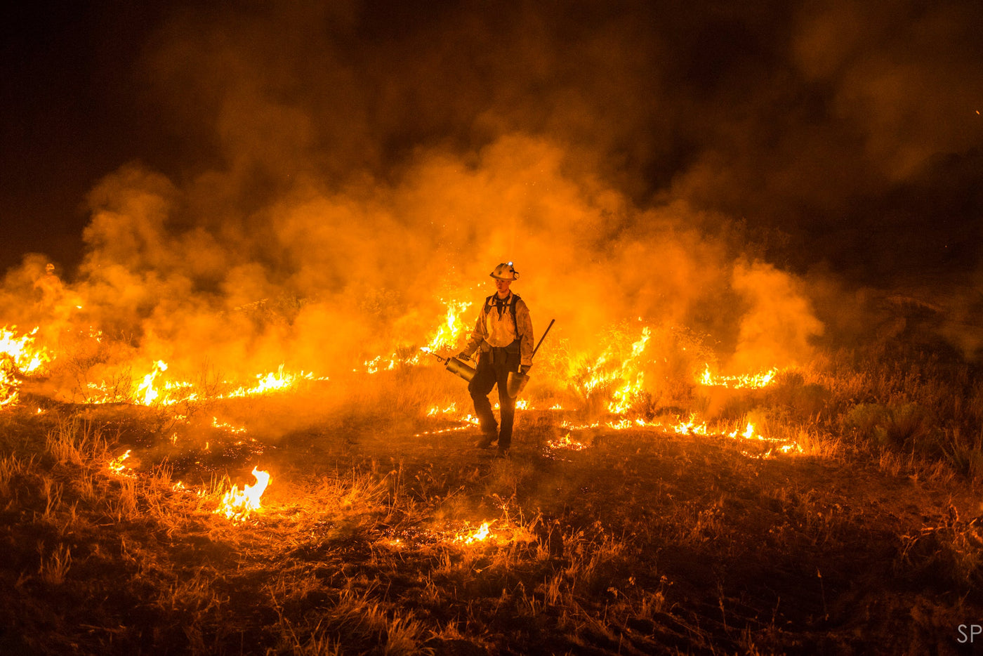 In Pursuit of Wildfire: Capturing California's Harshest Forest Fires with Stuart Palley