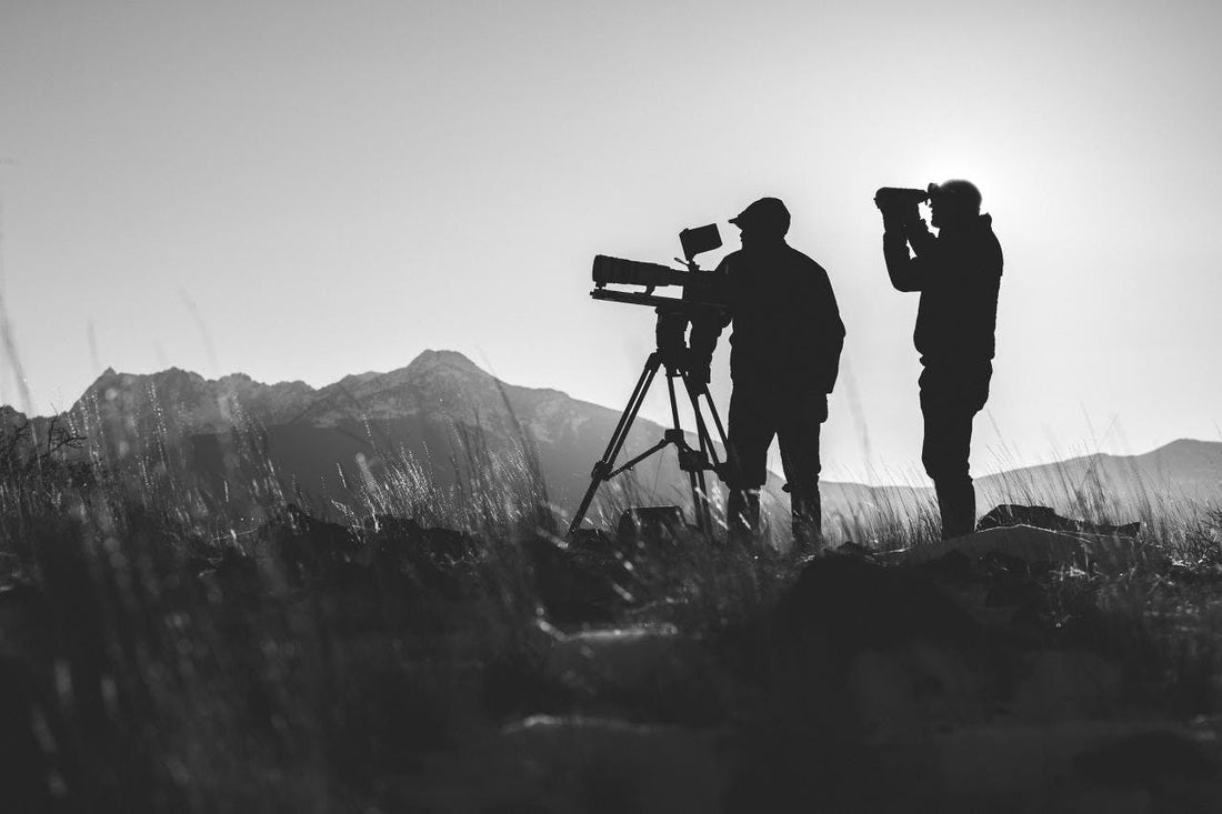 In Pursuit of Mama Mo: Tracking Montana's Wild Mountain Lion with Filmmaker Casey Anderson