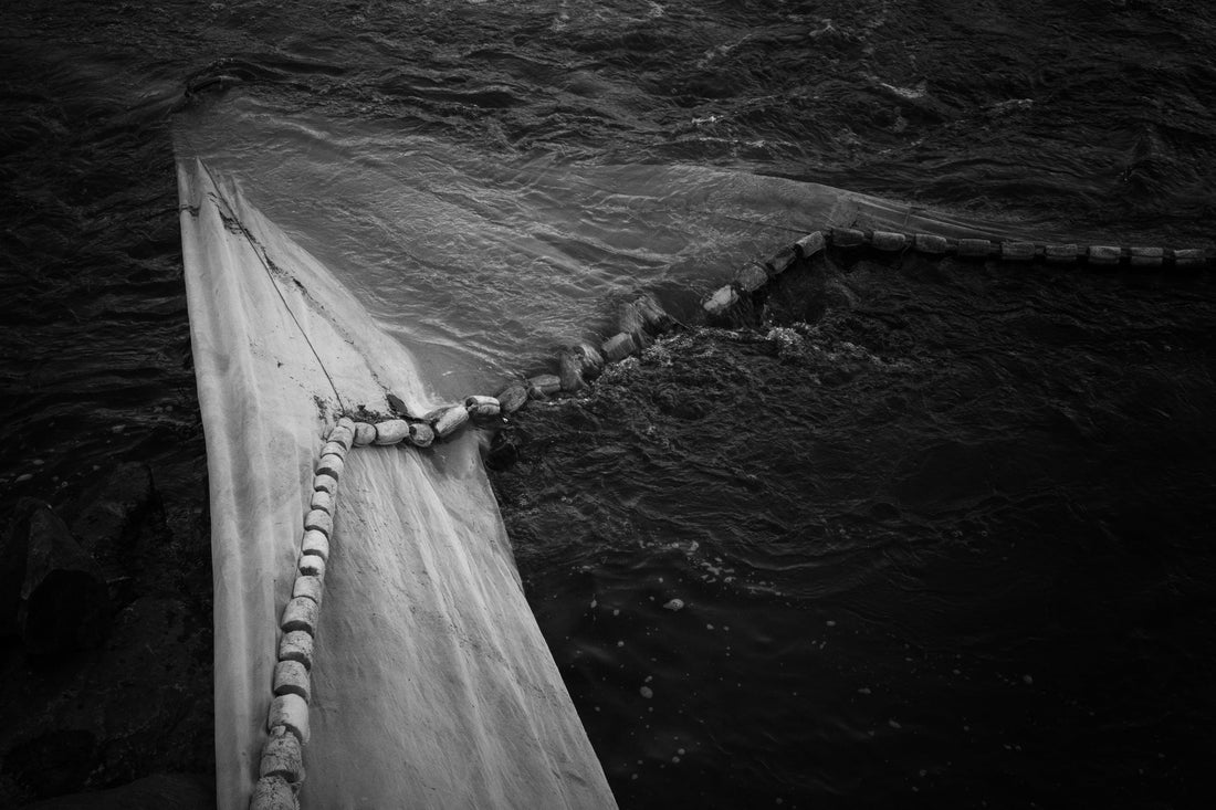 Elver Fishing in Maine