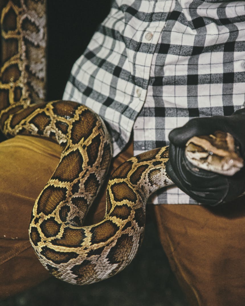 Python Bounty Hunters Python Bounty Hunter: Donna Kalil – Filson