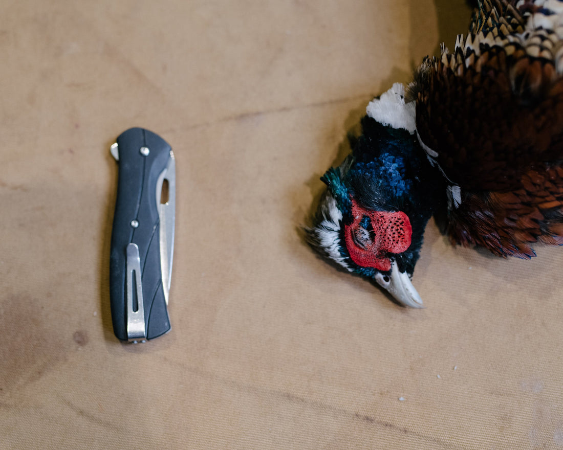 How to Process an Upland Bird