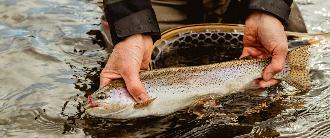 How to Take Care of Your Catch