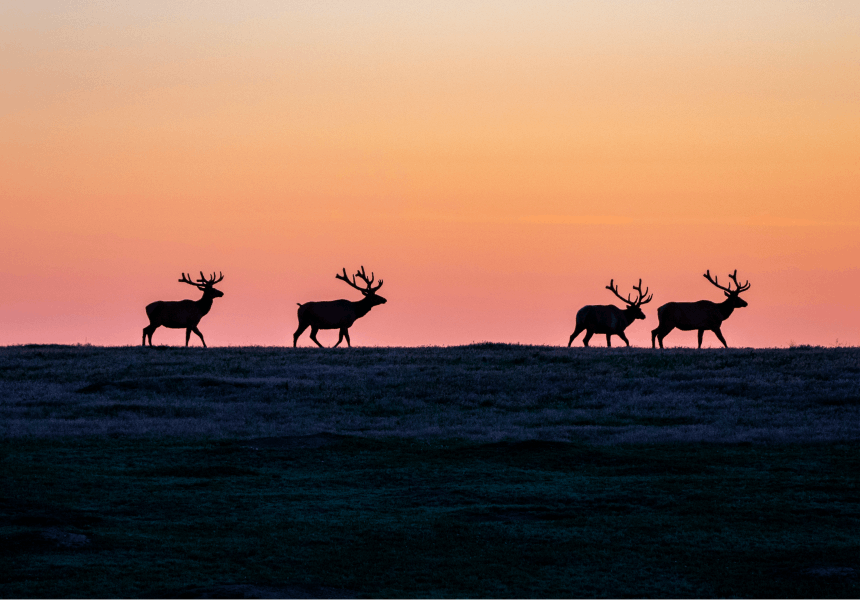 The MAPLAND ACT: Digitally Mapping to Simplify Public Land Recreation