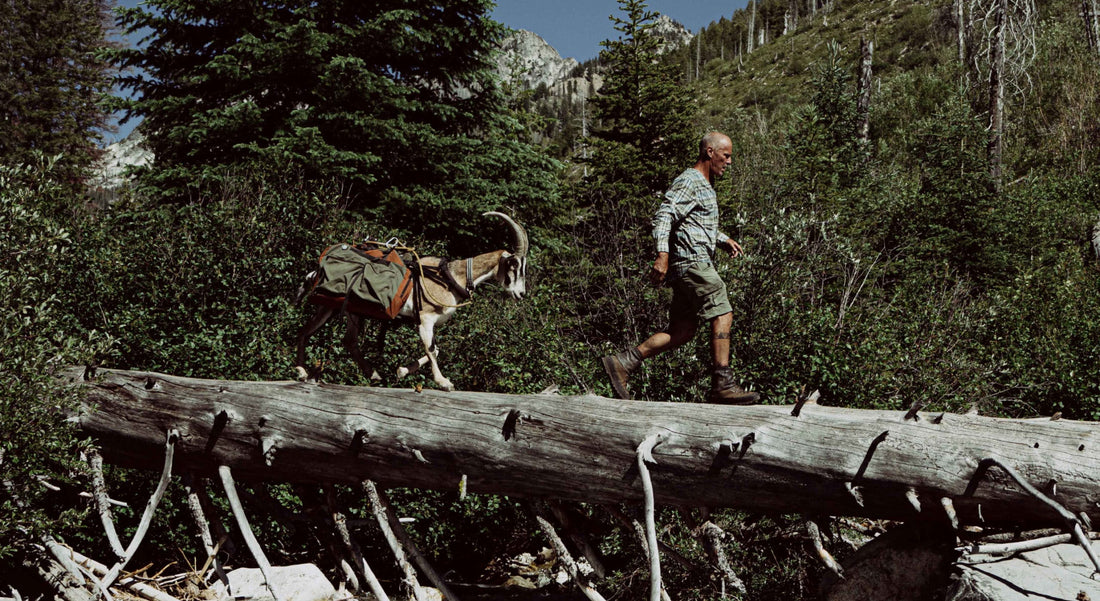 Grit: Marc Warnke's Pack Goats