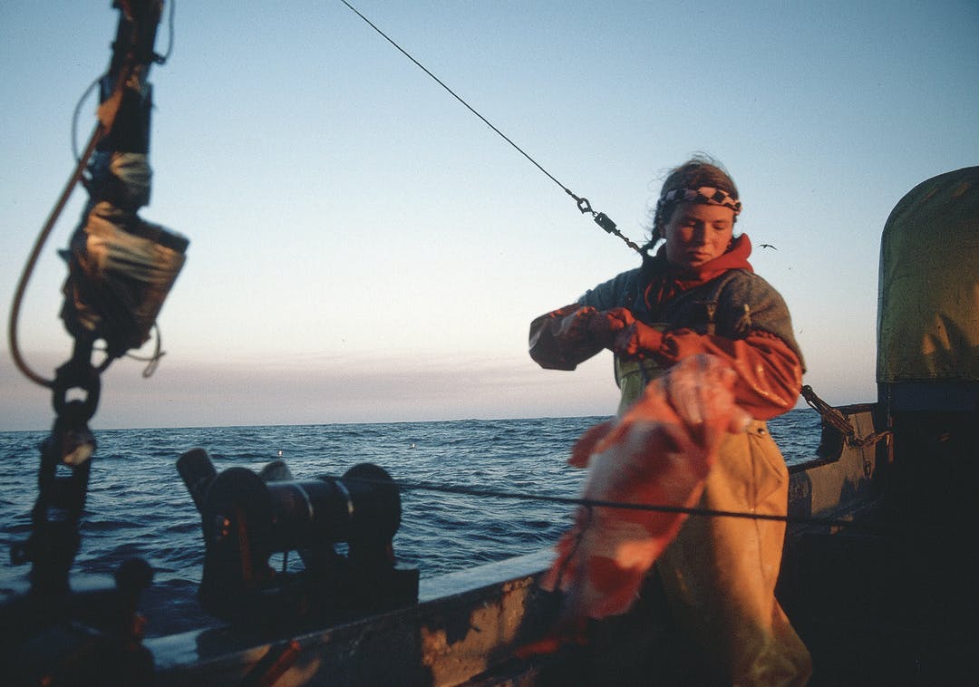Deep Sea Fishermen's Union