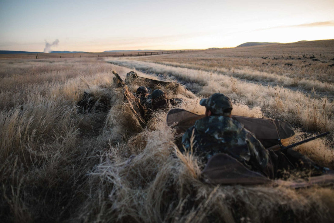 Tips to Elevate Your Blind