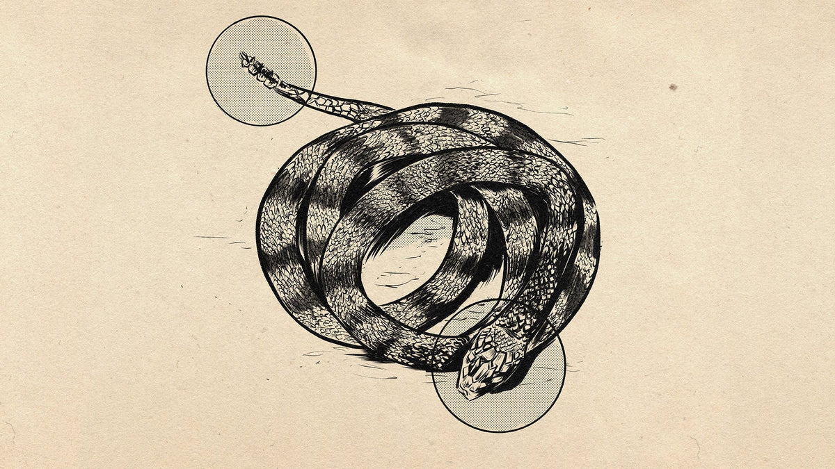 Snakebite Prevention and First Aid – Filson