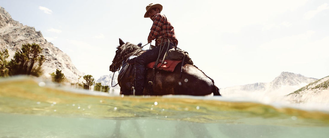 Trent Peterson: The Way Forward