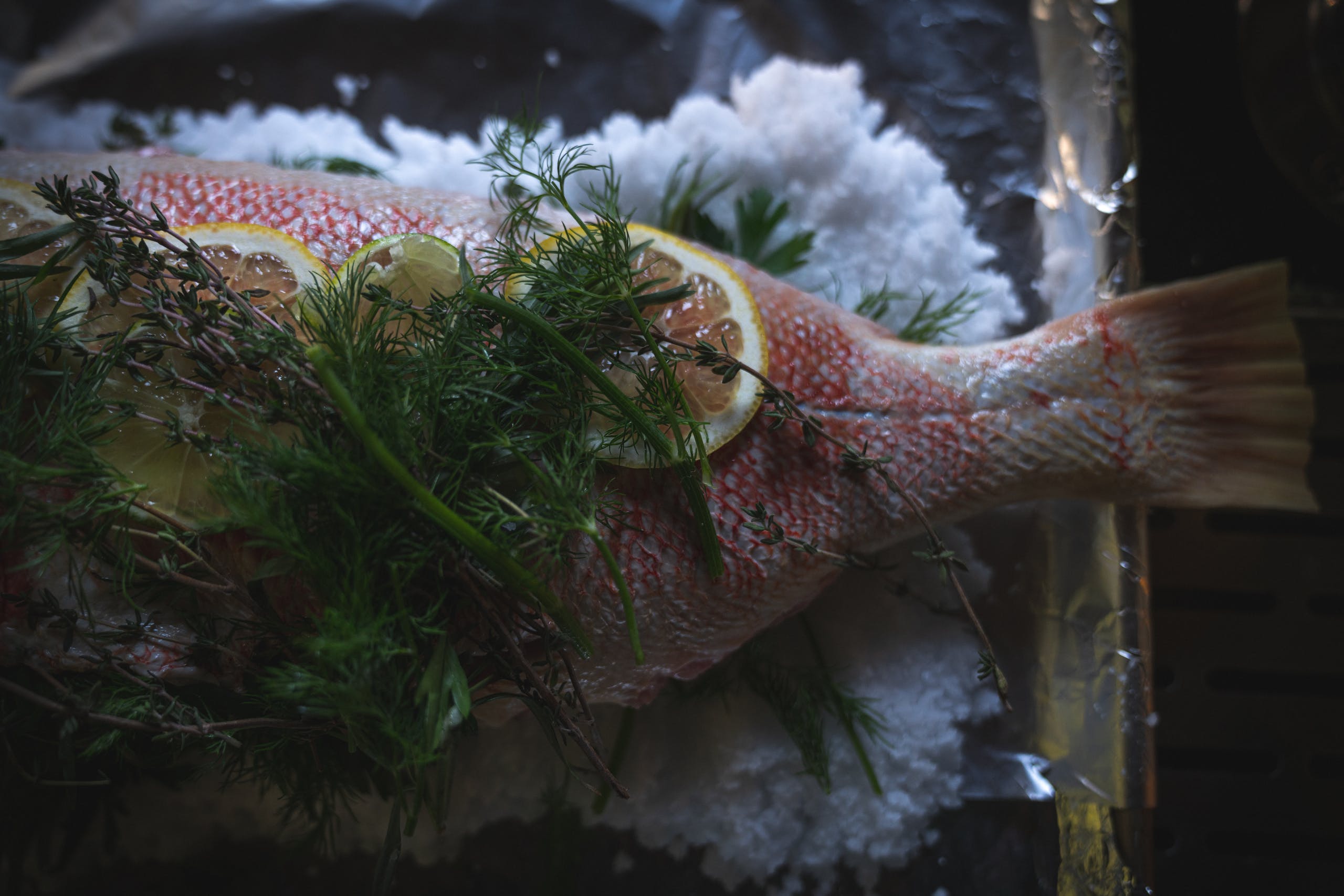 Filson Food: Whole Salt Crusted Fish with Horseradish Cream