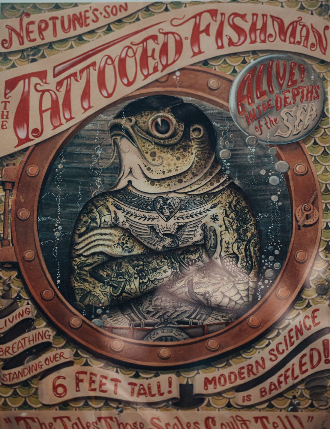 8 Tips On Photographing Fish Without Harming Them - Fly Fishing | Gink and  Gasoline | How to Fly Fish | Trout Fishing | Fly Tying | Fly Fishing Blog, image size:1100x1431