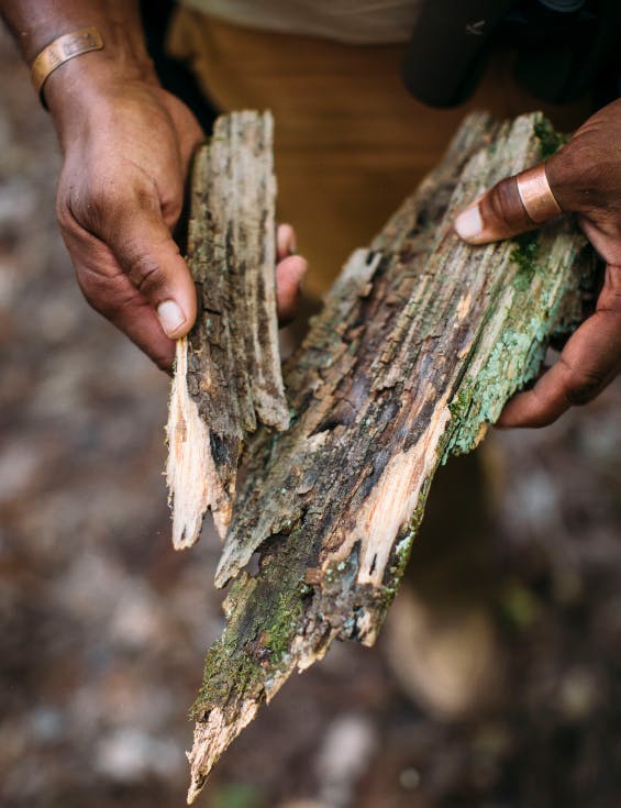 The Margins of Art, Science, & Superstition: Dr. J. Drew Lanham