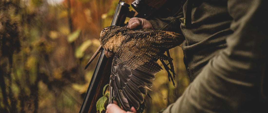 Ruffed Grouse Hunting Basics