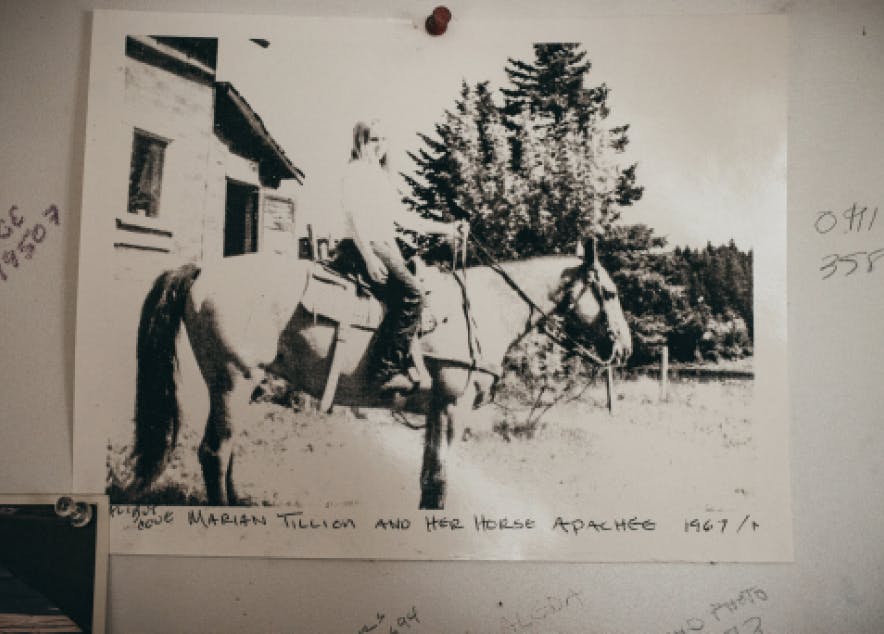 Marian Beck: The Saltry Restaurant