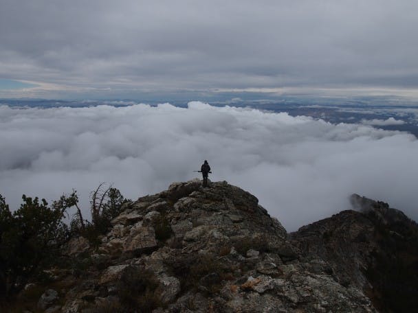 Chasing Ghosts: Himalayan Snowcock Hunting in Nevada with Larry McKurtis