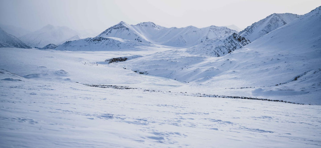 Ski Hunting the Alaskan Arctic