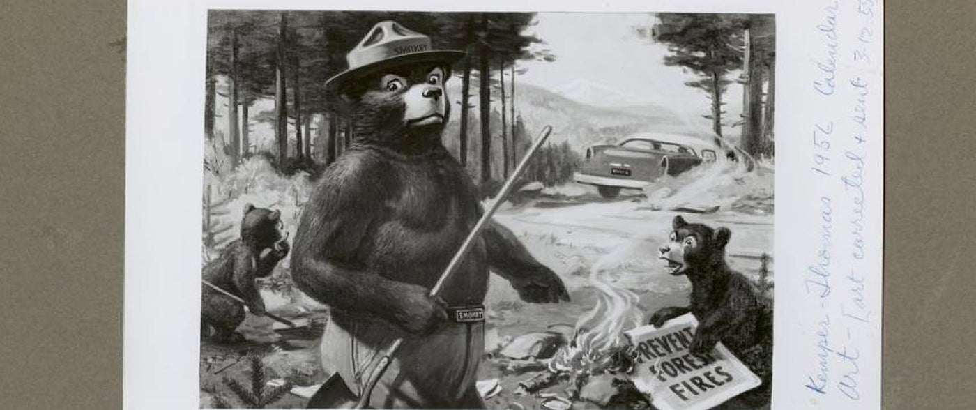 Smokey Bear: An American Icon