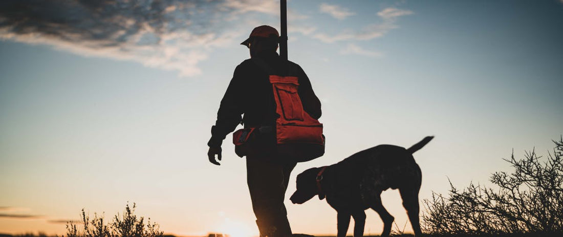 Beginner's Guide to Upland Hunting in Washington