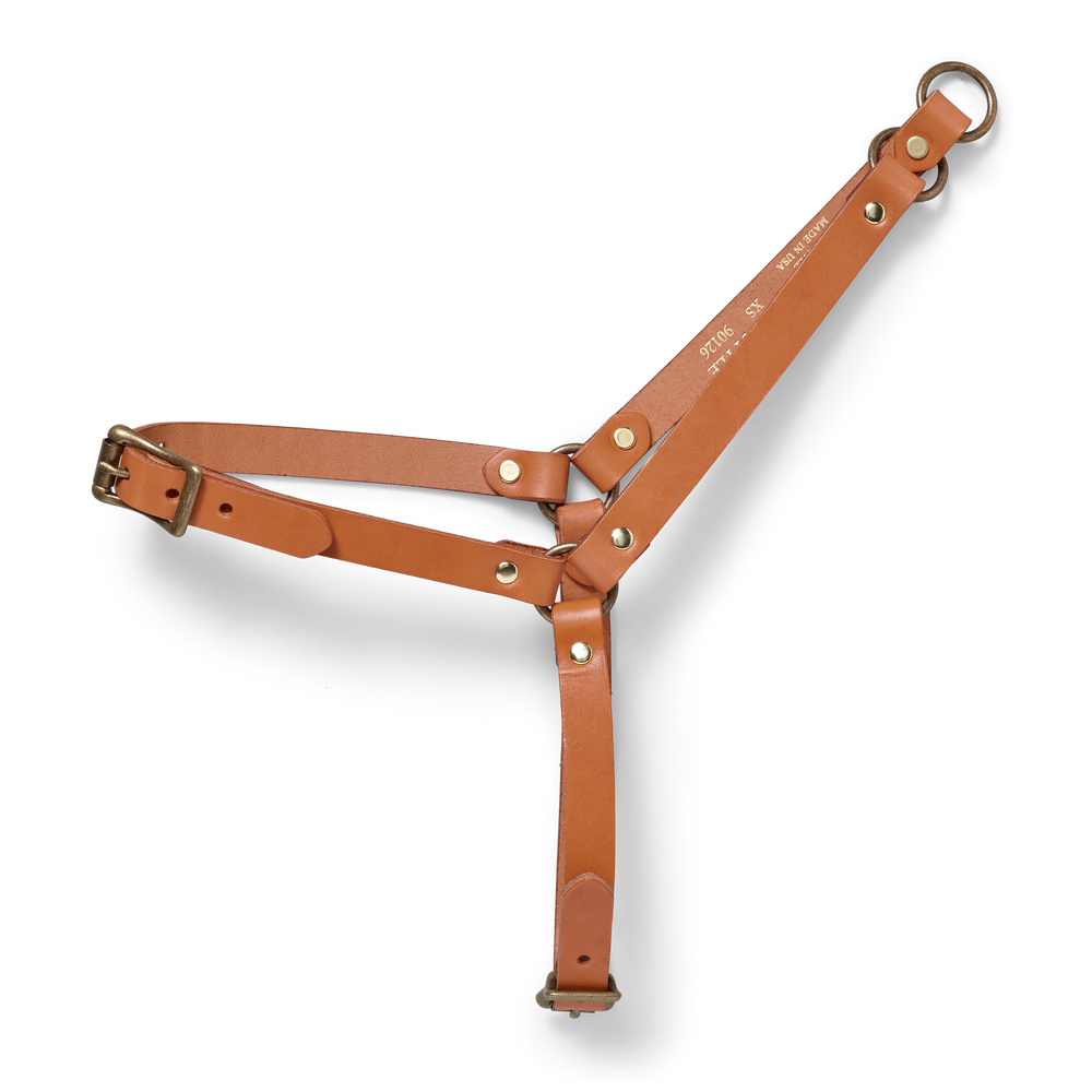 Front-facing image of the Filson Bridle Leather Dog Harness - Tan Leather
