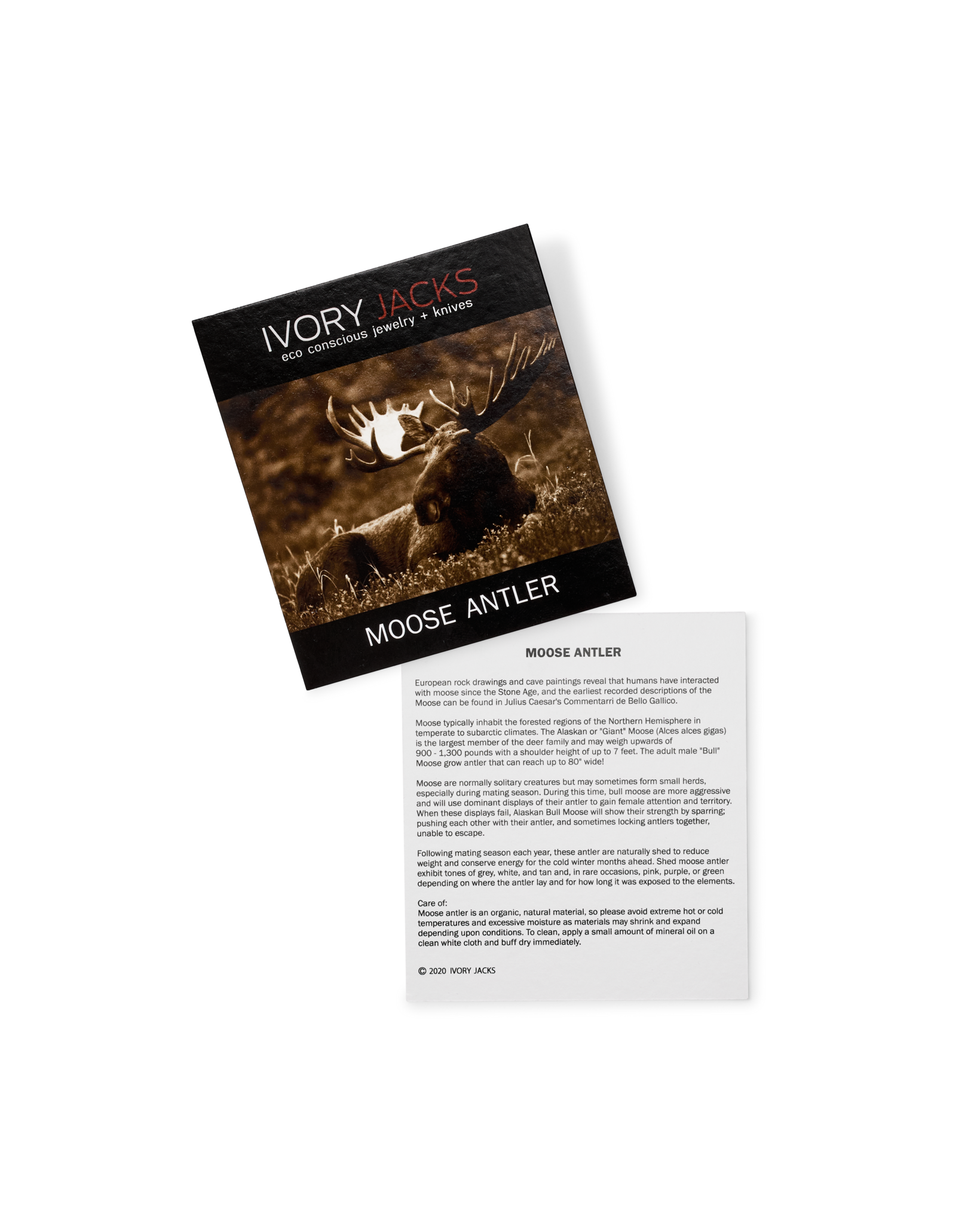 Ivory Jacks Moose Antler Bangle - Brn