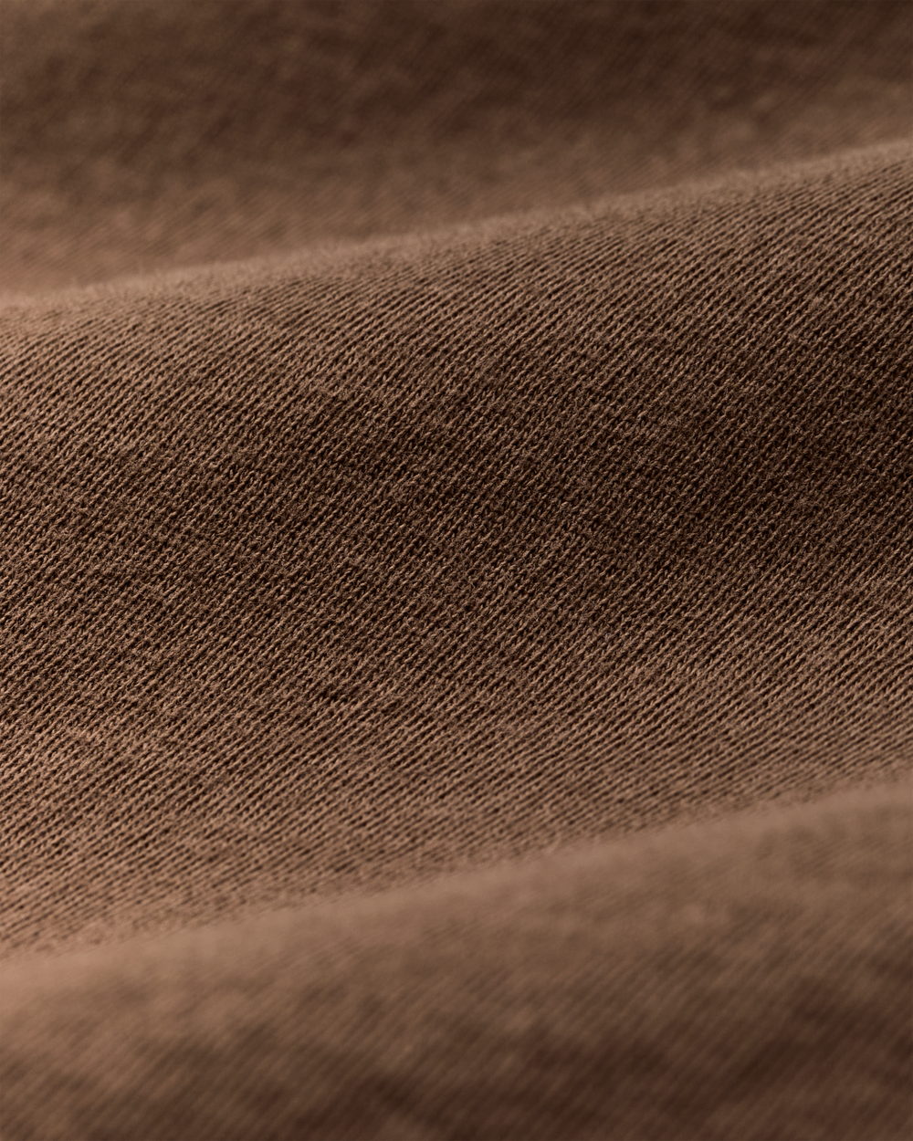 Ranger Graphic T-shirt - Rugged Tan / Fish