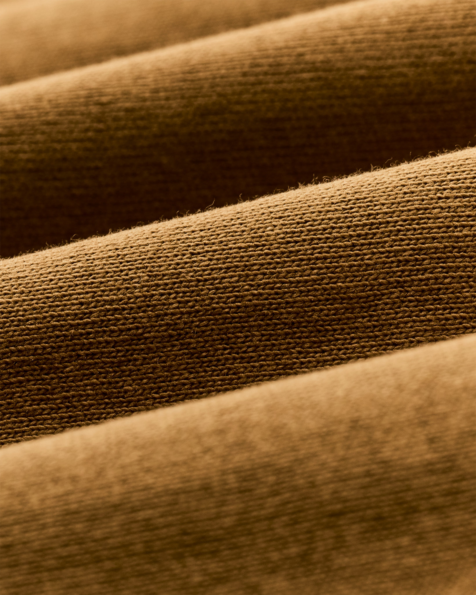 Frontier Logo T-shirt - Golden Tan / Scenic Mark