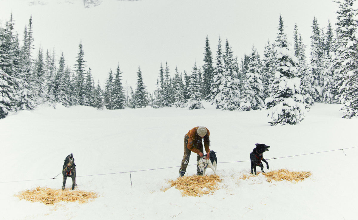 New Arrivals | Filson